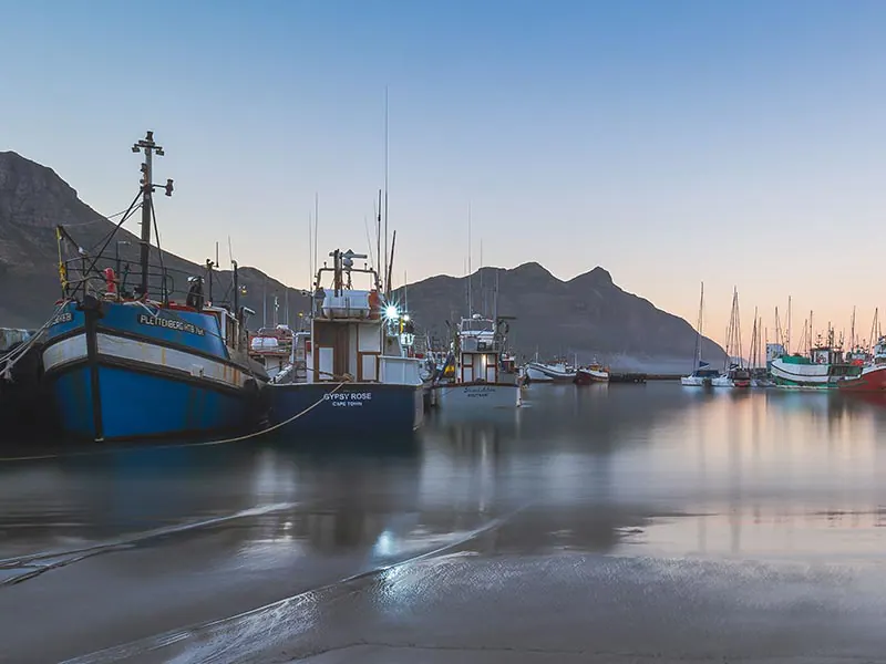 A Healthier Hout Bay: Practical Ways to Protect Your Family and Community