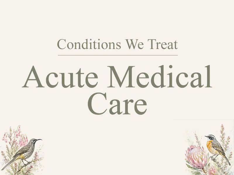 Acute Medical care