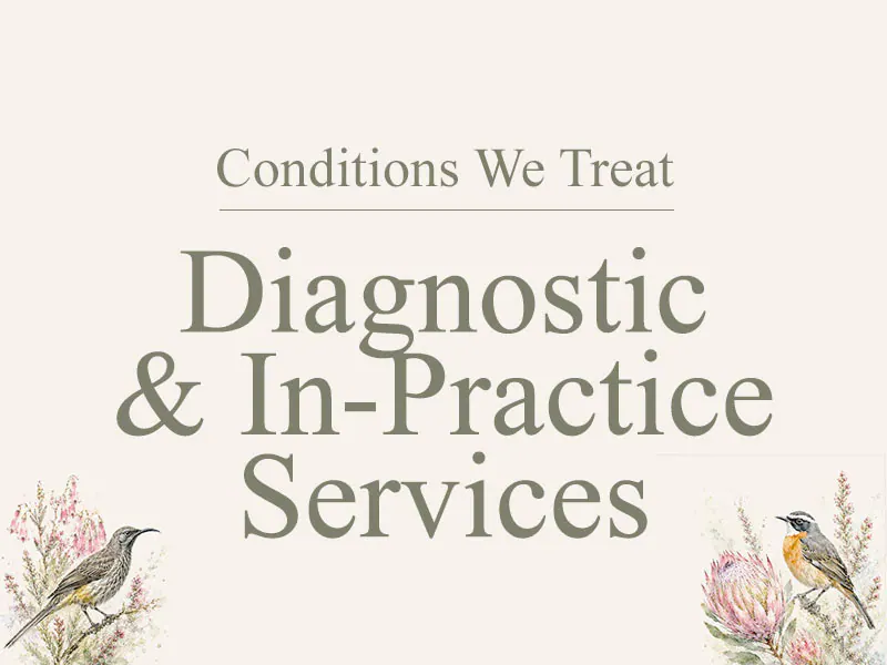Diagnostic & In-Practice Services